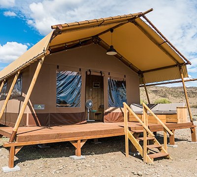 Africa Safari Lake Natron