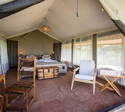 Nyikani Migration Camp Ndutu