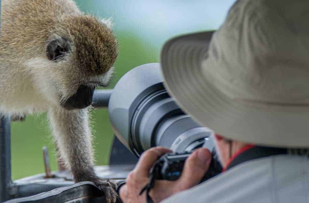 photographic safari